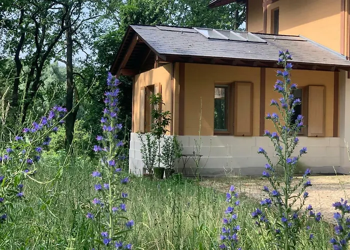 Hotel Parkchalet Atelier Potsdam